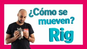 ¿Qué es el Rig?